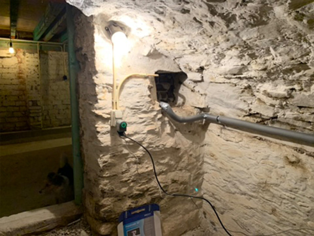 cellar_058